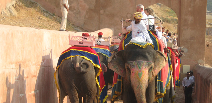 Tour d'éléphant à Jaipur
