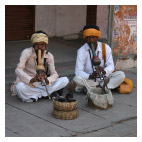 Tour Gujarat - 12 Jours